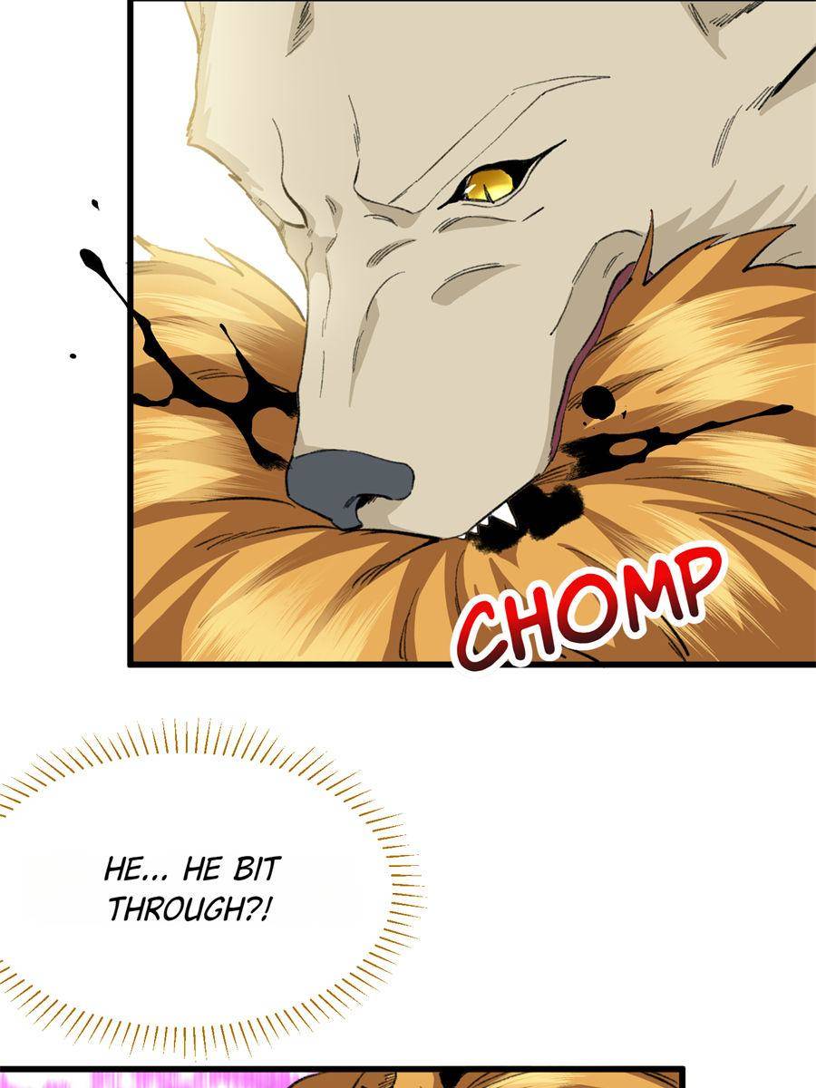 81490557 900 1200 102546